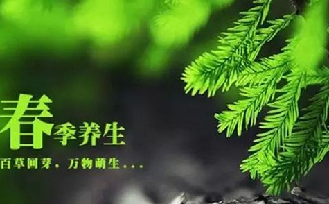 中醫體質檢測儀器建議春季「發陳」，常按這裏，打開身體氣血的通道