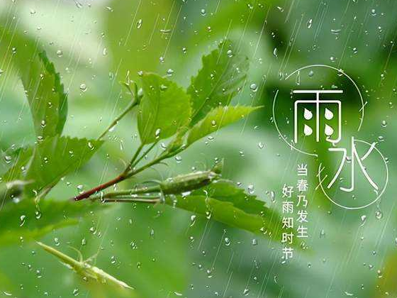 雨水|祛濕健脾！开云体育相关app器廠家普及養生知識！