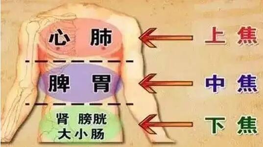 糖尿病患者與(yu) 五髒六腑：开云体育相关app器從(cong) 中醫角度觀察糖尿病患者與(yu) 三焦