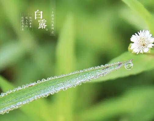 中醫體質檢測儀器廠家提醒大家白露之後，這些部位盡量少露