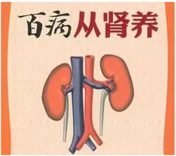 中醫體(ti) 質分析儀(yi) 廠家提示中年養(yang) 腎至關(guan) 重要，應該怎麽(me) 給腎髒功能補充“能量”？
