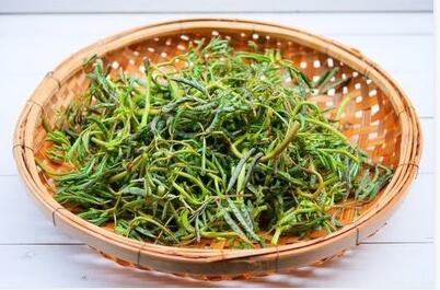 开云体育相关app器廠家提醒春天來，健康飲食，補氣養腎，不煩惱！