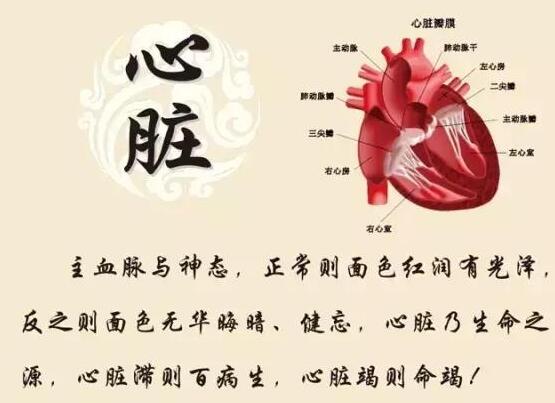 中醫體質測試儀器建議養心先養神！國康教你心髒養生小妙招