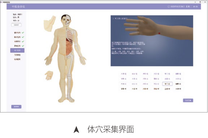 體(ti) 穴采集界麵.png