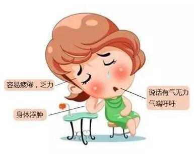 开云体育相关app器設備針對人體中醫體質辨識操作過程