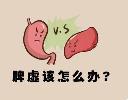 开云体育相关app器廠家國康教您判別自己體內是不是有濕，體寒呢？ ​