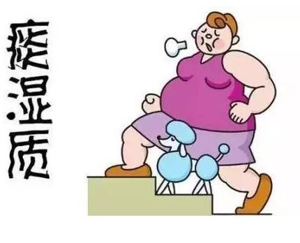 中醫體質檢測儀器生產廠家kaiyun体育全站app介绍議論--痰濕體質