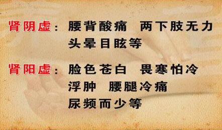 开云体育相关app器查看中醫常說的腎虛是怎麽回事？