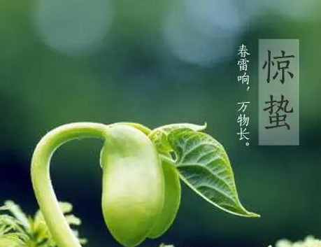 【健康小課堂】老年人中醫體質辨識係統儀生產廠家