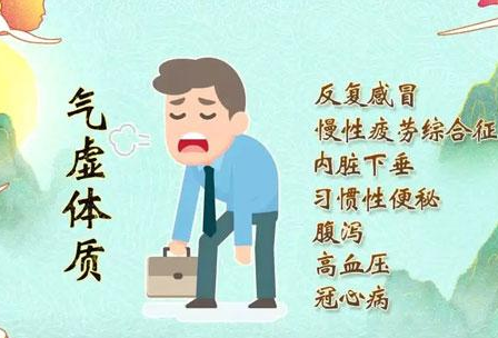 6.1山東中仁【开云体育相关app】廠家普及氣虛體質健康常識