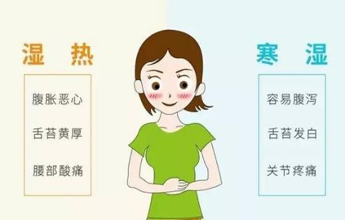 濕氣重？可靠的【开云体育相关app器】幫你分辨出你是寒濕還是濕熱體質哦！