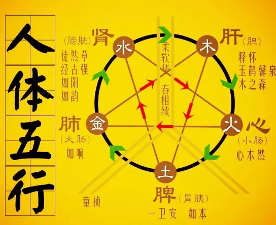 便攜式开云体育相关app器提醒夏季調理養生，秋冬不生病!