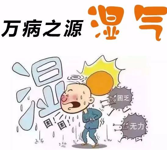 中醫體質辨識係統設備提醒夏天要遠離4種越吃濕氣越重的食物！