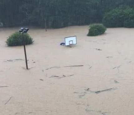河南特大暴雨來襲，kaiyun体育全站app介绍提醒災民了解災後防疫知識！！！