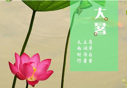 7.22大暑 |中醫體質檢測儀廠家中仁提供一些養生小妙招！