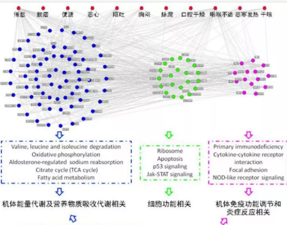 （开云体育相关app器）疫苗都阻擋不了的德爾塔病毒用中醫治療效果不錯哦！