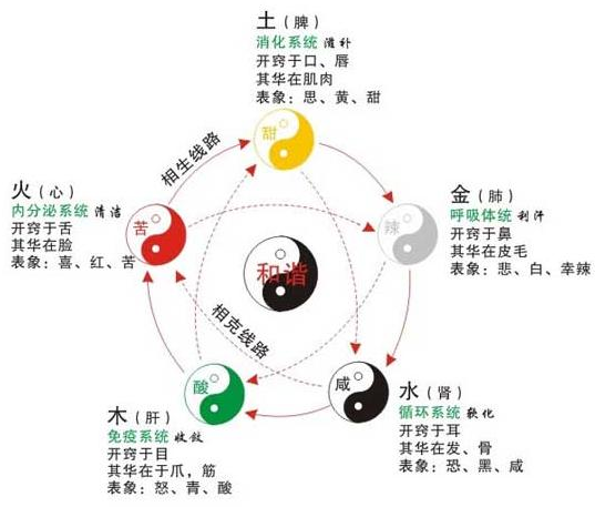 中醫體質智能檢測儀診斷剖析中醫“五行”體質人群的健康養生之道
