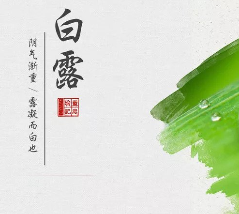 白露養生|中醫體質健康測試係統提醒三忌三宜，秋高氣爽不患病